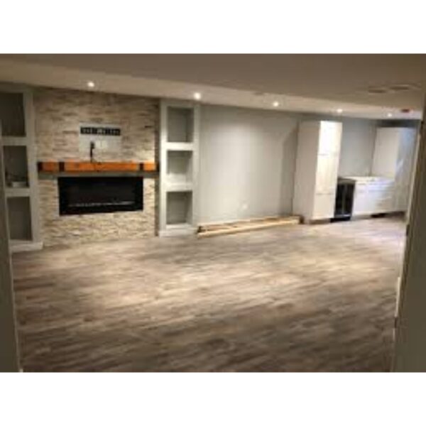Basement renovation ideas in oakville
